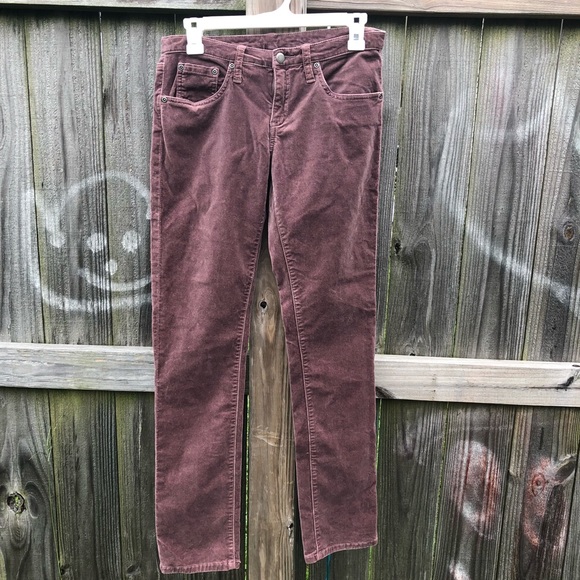 plum velvet trousers